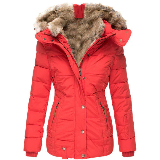 Padded Winter Coat - Trendy Ladies Insulated Jacket With Faux Fur Hood